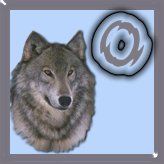 7777-wolf-15.jpg