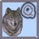 7777-wolf-17.jpg