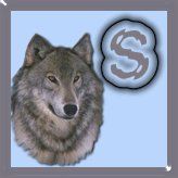 7777-wolf-19.jpg