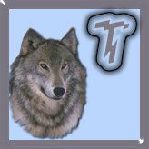 7777-wolf-20.jpg
