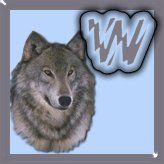 7777-wolf-23.jpg