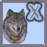 7777-wolf-24.jpg