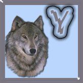 7777-wolf-25.jpg