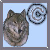 7777-wolf-3.jpg