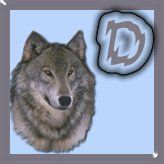 7777-wolf-4.jpg