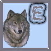 7777-wolf-5.jpg