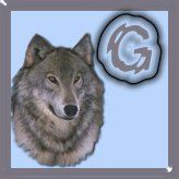 7777-wolf-7.jpg