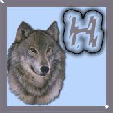 7777-wolf-8.jpg