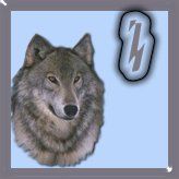 7777-wolf-9.jpg