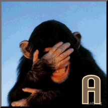 887-sinnge-1.gif