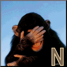 887-sinnge-14.gif