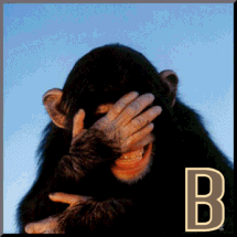 887-sinnge-2.gif