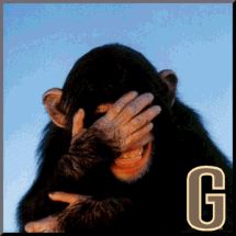 887-sinnge-7.gif