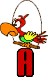 90000-perroquet-1.jpg