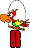 90000-perroquet-18.jpg