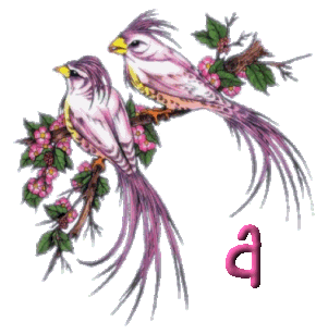 920445oiseau-1.gif