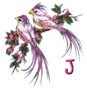 920445oiseau-10.gif
