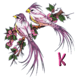 920445oiseau-11.gif