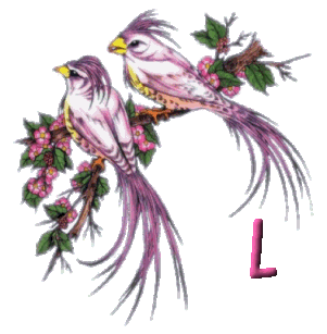 920445oiseau-12.gif