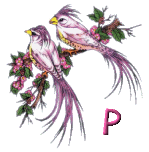 920445oiseau-16.gif