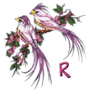 920445oiseau-18.gif