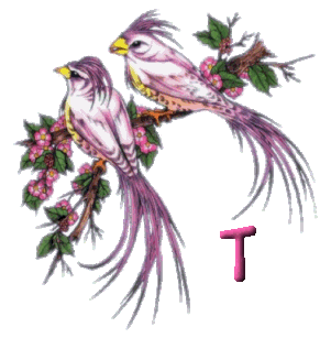 920445oiseau-20.gif