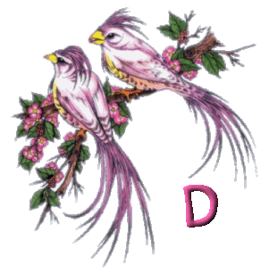 920445oiseau-4.gif