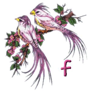 920445oiseau-6.gif