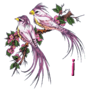 920445oiseau-9.gif