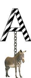 A-Zebra-Charm_ccnan.jpg