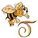 ABEILLE-GFOGOHHGIHG-10.jpg