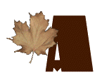 AUTUMN-LEAVES-by-KAYE-W_A.gif