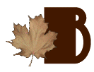 AUTUMN-LEAVES-by-KAYE-W_B.gif