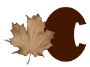 AUTUMN-LEAVES-by-KAYE-W_C.gif