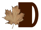 AUTUMN-LEAVES-by-KAYE-W_D.gif