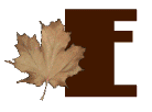 AUTUMN-LEAVES-by-KAYE-W_E.gif