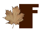 AUTUMN-LEAVES-by-KAYE-W_F.gif