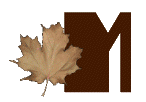 AUTUMN-LEAVES-by-KAYE-W_M.gif