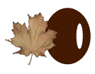 AUTUMN-LEAVES-by-KAYE-W_O.gif
