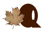 AUTUMN-LEAVES-by-KAYE-W_Q.gif