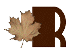 AUTUMN-LEAVES-by-KAYE-W_R.gif