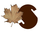 AUTUMN-LEAVES-by-KAYE-W_S.gif