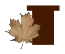 AUTUMN-LEAVES-by-KAYE-W_T.gif