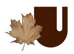 AUTUMN-LEAVES-by-KAYE-W_U.gif