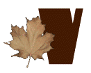 AUTUMN-LEAVES-by-KAYE-W_V.gif