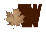 AUTUMN-LEAVES-by-KAYE-W_W.gif