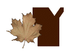 AUTUMN-LEAVES-by-KAYE-W_Y.gif