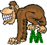 Affe-02-M.gif