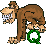 Affe-02-Q.gif