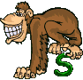 Affe-02-S.gif